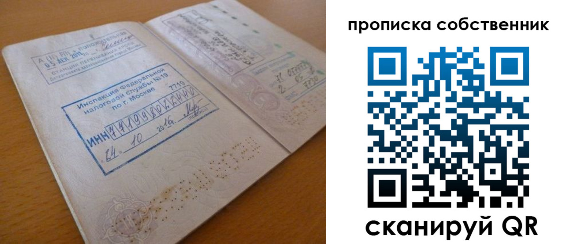 прописка для школы в Кургане